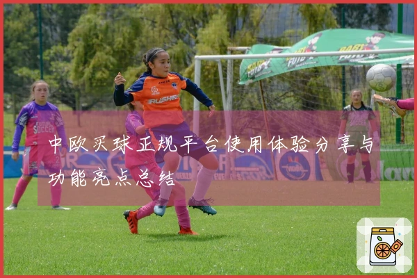 中欧买球正规平台使用体验分享与功能亮点总结