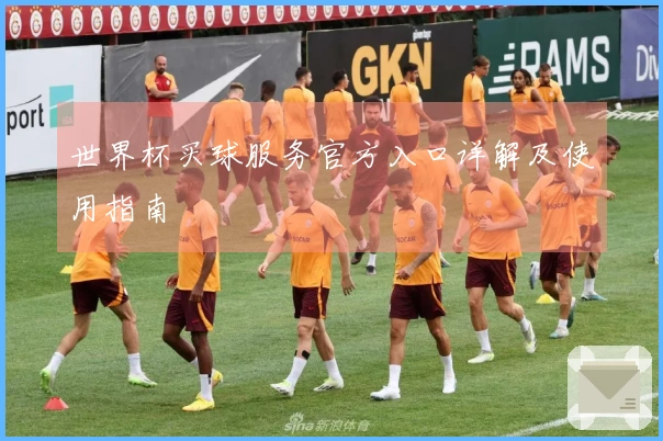 世界杯买球服务官方入口详解及使用指南