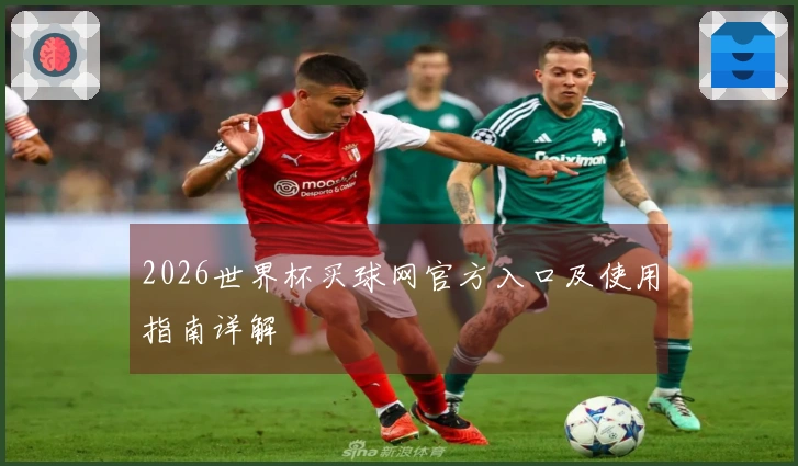 2026世界杯买球网官方入口及使用指南详解