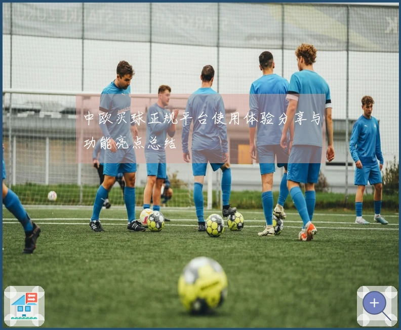 中欧买球正规平台使用体验分享与功能亮点总结