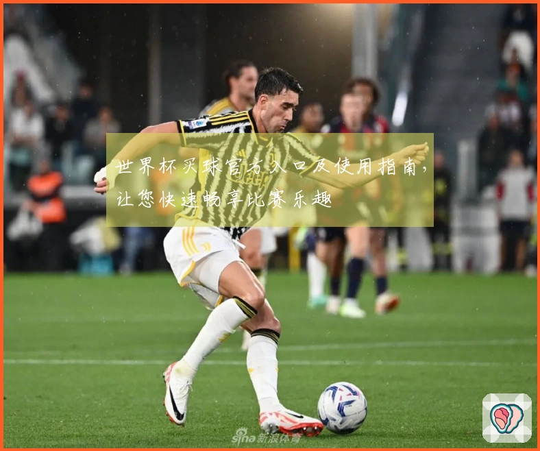 世界杯买球官方入口及使用指南，让您快速畅享比赛乐趣
