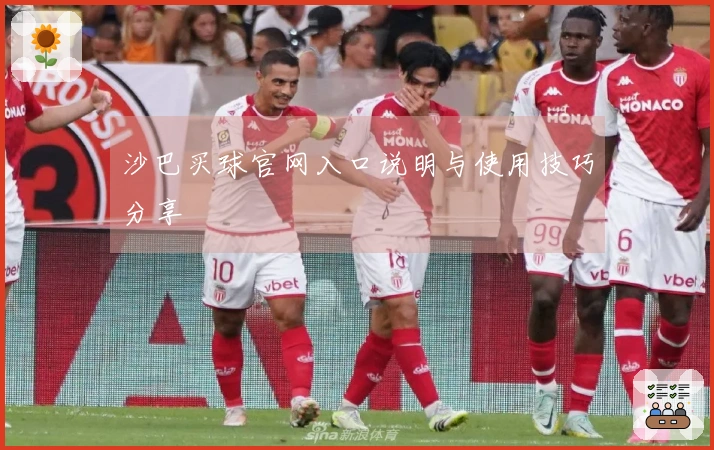 沙巴买球官网入口说明与使用技巧分享