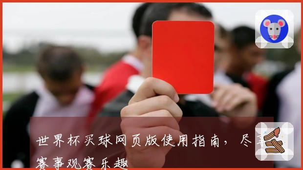 世界杯买球网页版使用指南，尽享赛事观赛乐趣