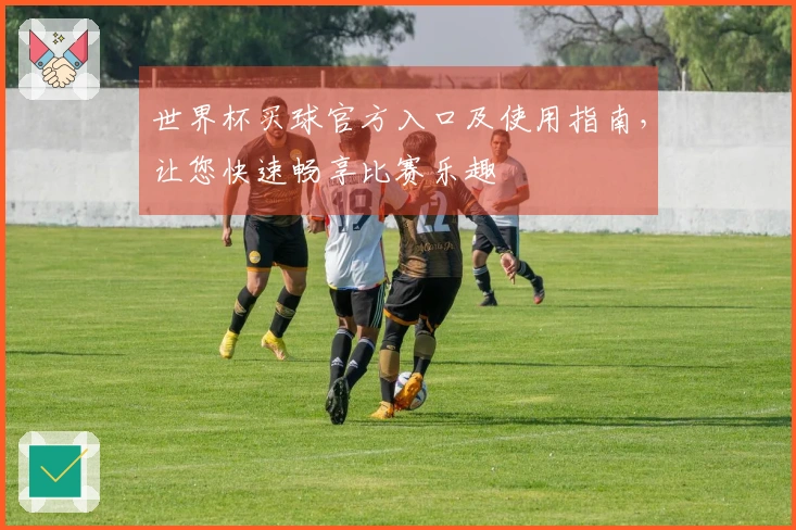 世界杯买球官方入口及使用指南，让您快速畅享比赛乐趣