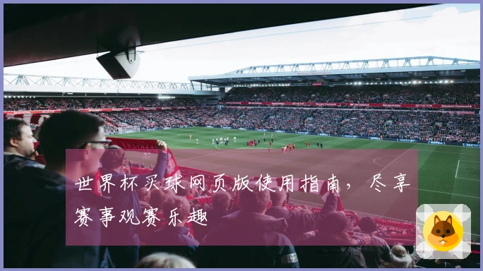 世界杯买球网页版使用指南，尽享赛事观赛乐趣