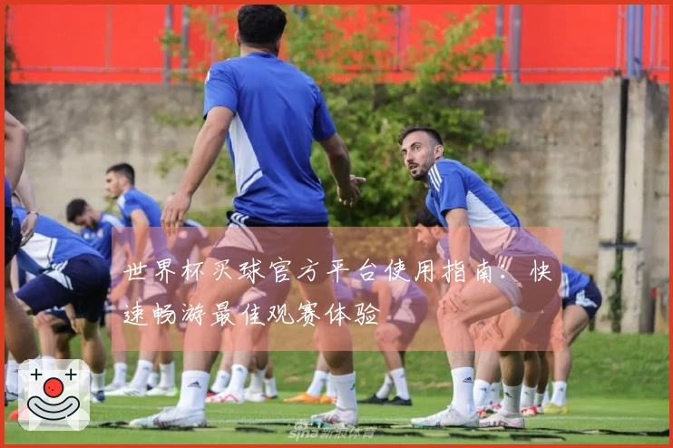 世界杯买球官方平台使用指南：快速畅游最佳观赛体验