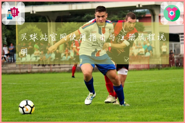 买球站官网使用指南与注册流程说明